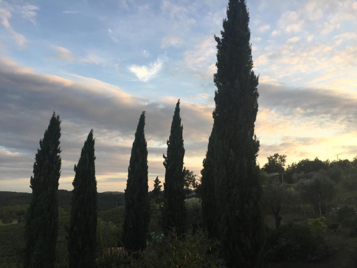 Agriturismo Malpensata Radda in Chianti Exterior foto