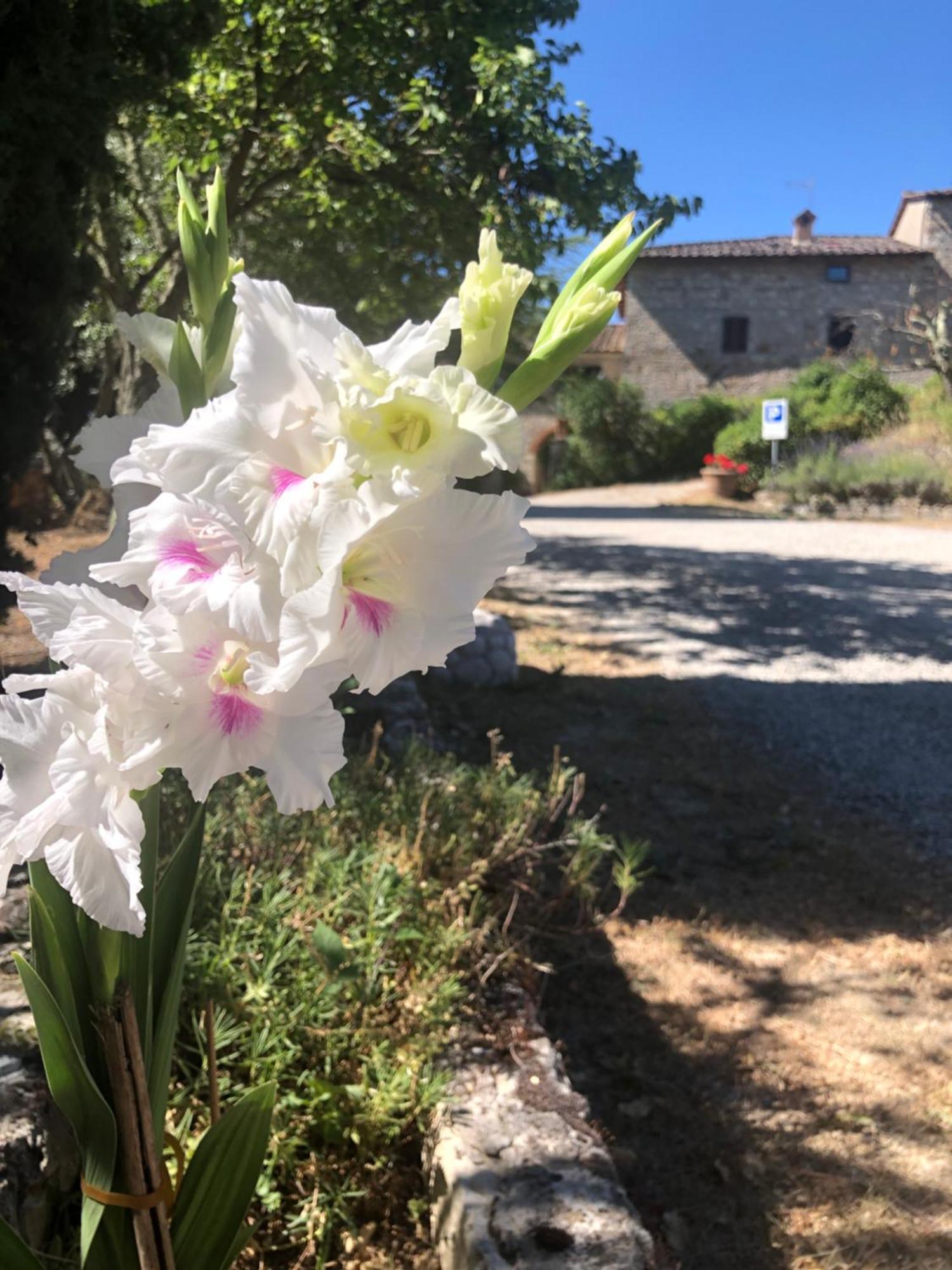 Agriturismo Malpensata Radda in Chianti Exterior foto