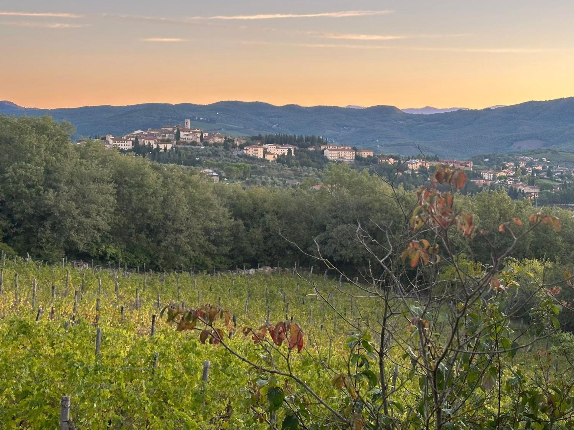 Agriturismo Malpensata Radda in Chianti Exterior foto