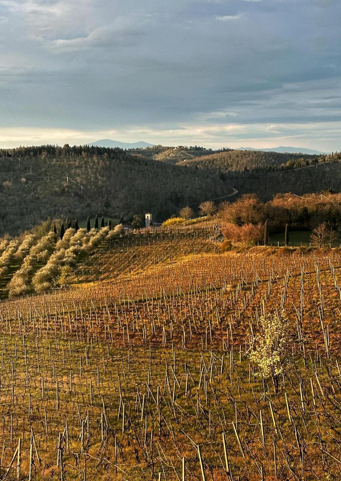Agriturismo Malpensata Radda in Chianti Exterior foto